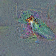 n02105855